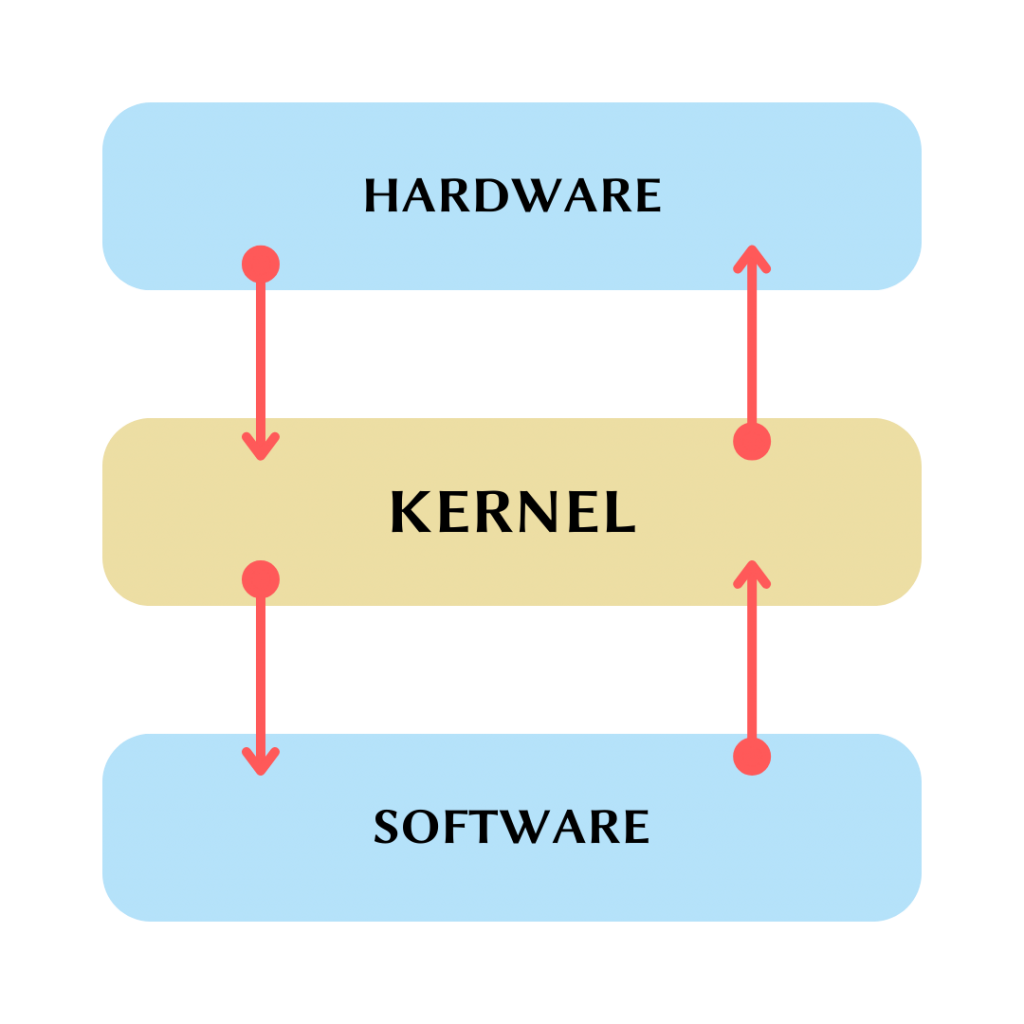 Kernel